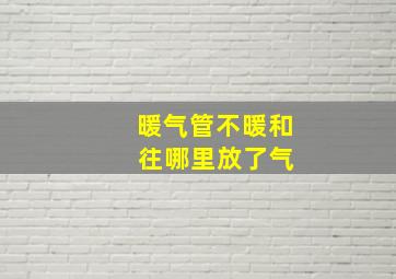 暖气管不暖和 往哪里放了气